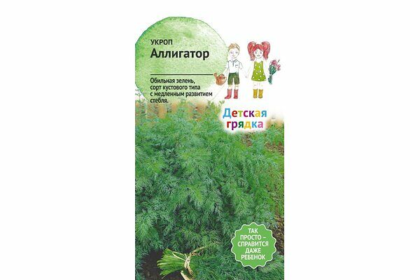 Укроп Аллигатор Детская грядка