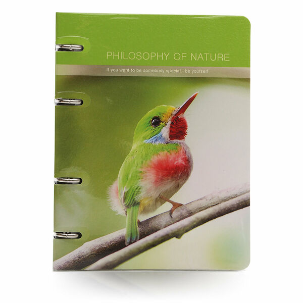 Тетрадь Birds с кольцевым механизмом 120 листов ТМ Study Infolio (Стьюди Инфолио)