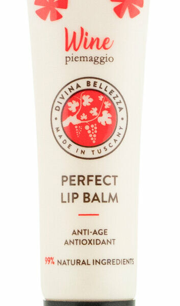 DIVINA BELLEZZA Бальзам для губ Идеальный уход, 15 мл