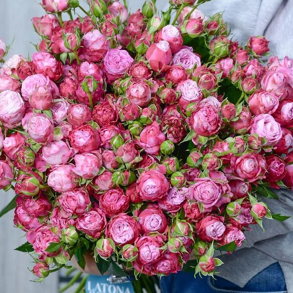 Букет из пионов