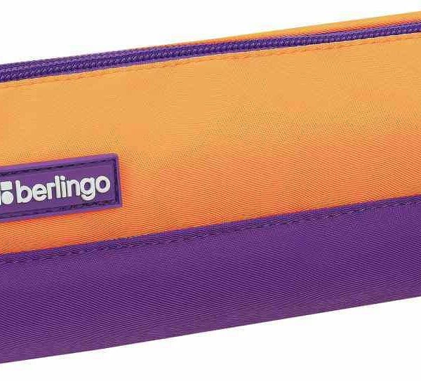 Пенал Berlingo Envy 2 отделения оранжевый, 205×50×55 мм