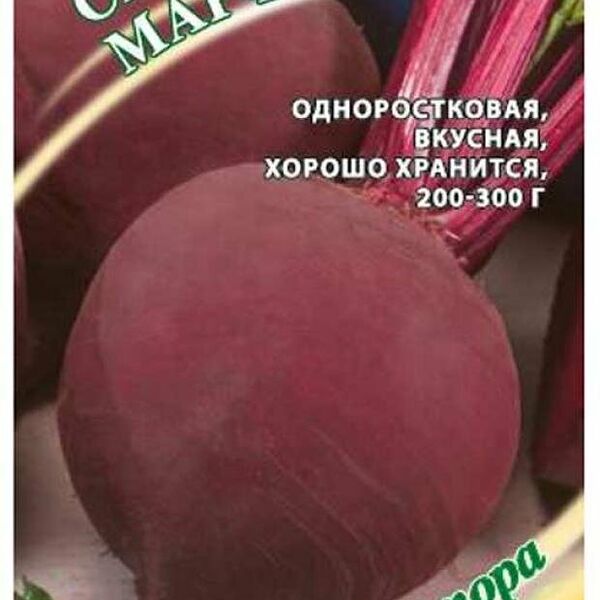 Семена Свекла Марфуша ТМ Гавриш