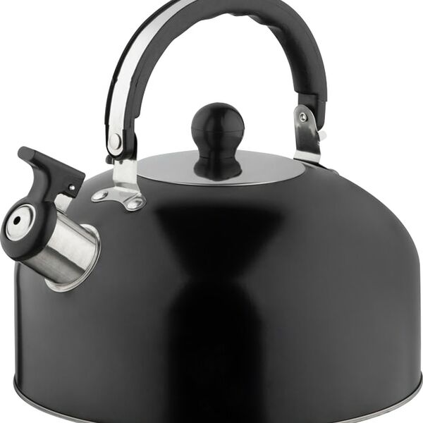 Чайник Casual со свистком 2.7л