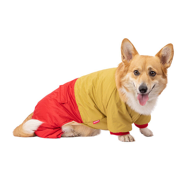 Комбинезон Petmax для собак 2XL желтый (унисекс)