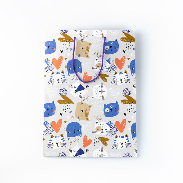 Пакет бумажный (250х350х90 мм.), в ассортименте_РП