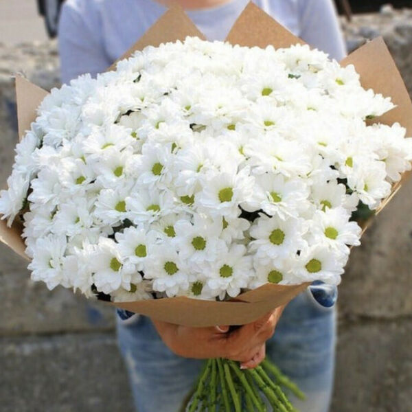 Букет из 19 белых кустовых хризантем