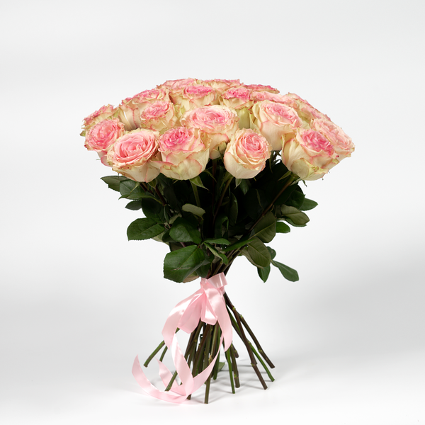 25 роз Эквадор премиум