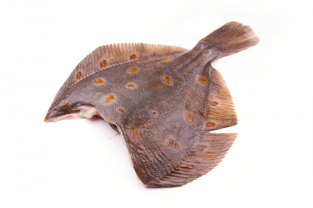 

Камбала потрошенная без головы охлажденная вес