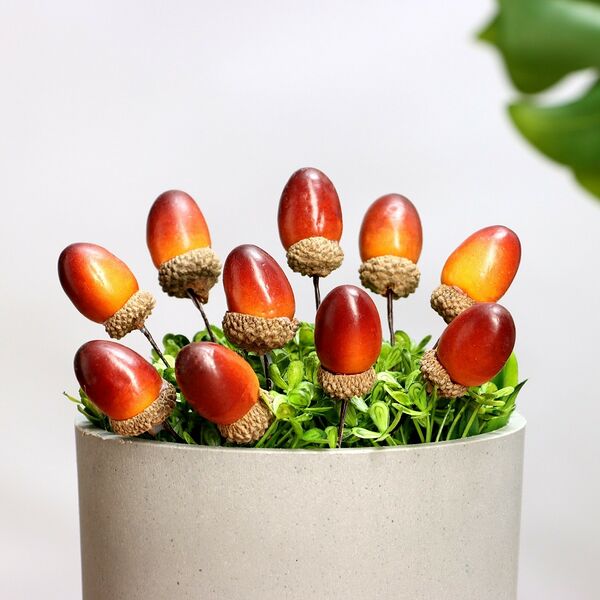 Набор штекеров Желудь 10 шт, 3х2 см