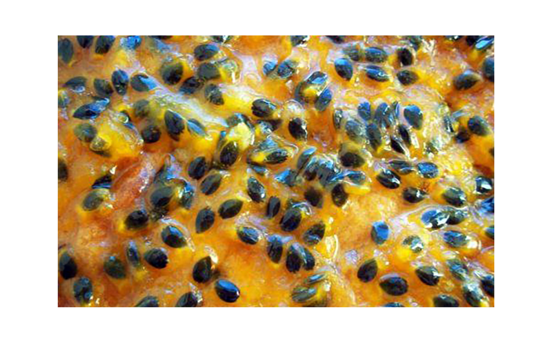 

Маракуйя Olmish Premium мякоть с семечками замороженное 1 кг