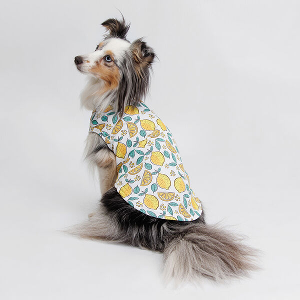 Футболка Rurri зелено-желтая с принтом XL