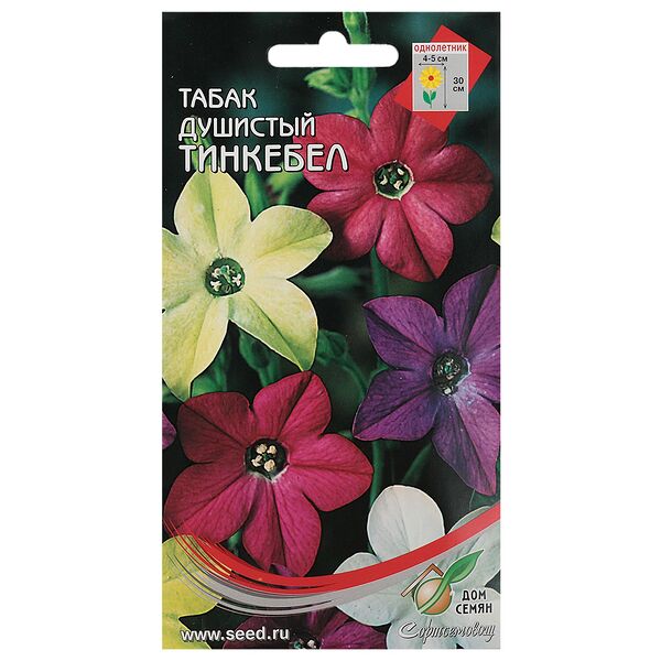 Семена Табак душистый Тинкебелл