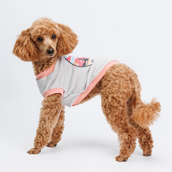 Petmax Футболка серая с пейзажем L