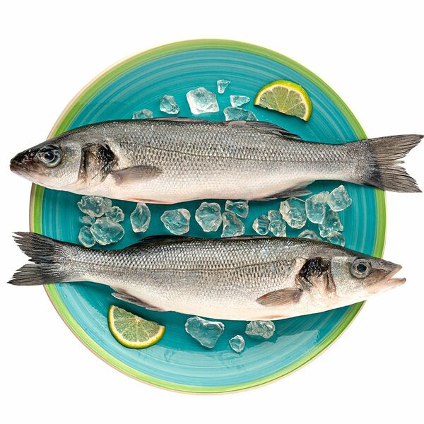 Сибас охлаждённый