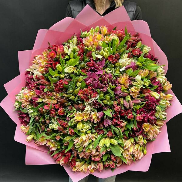 Букет из 101 разноцветной Альстромерии