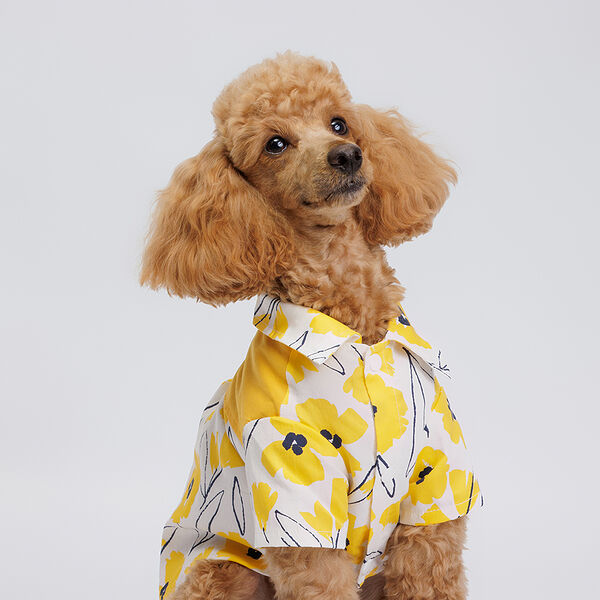 Футболка Petmax с желтыми цветами L