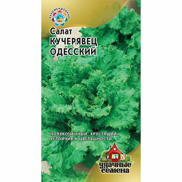 Семена Удачные семена  Салат Кучерявец Одесский Хит хрустящий
