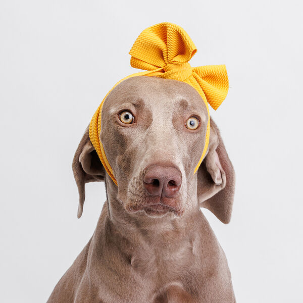 Повязка Rurri на голову желтая