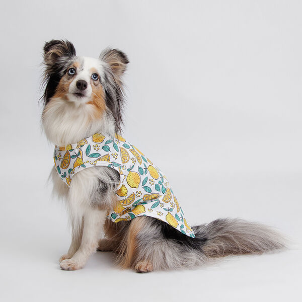 Футболка  Rurri зелено-желтая с принтом L