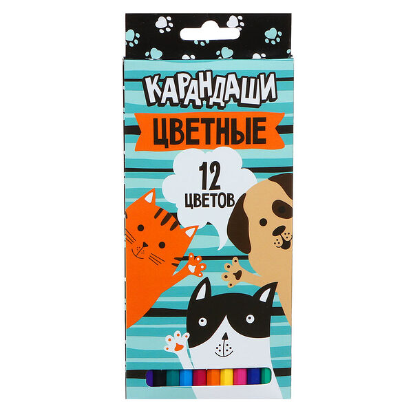 Хэв э найс дэй карандаши 12 цветов шестигранные заточенные, улучшенное письмо, пластик, в карт.кор.