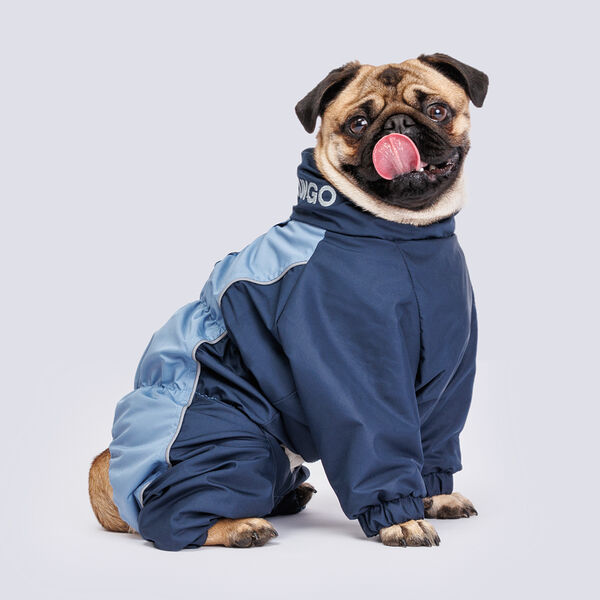 Комбинезон с флисовой подкладкой для мопса, 60х43х30 см, голубо-синий (мальчик)
