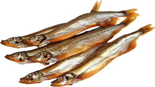 

Мойва Фландерр холодного копчения вес