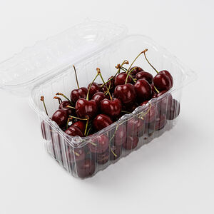 Черешня отборная 500г