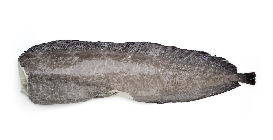 

Зубатка синяя потрошенная без головы охлажденная, вес