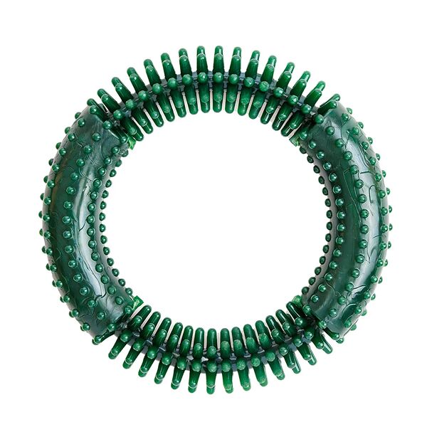 Игрушка для собак Кольцо с шипами 15,5 см