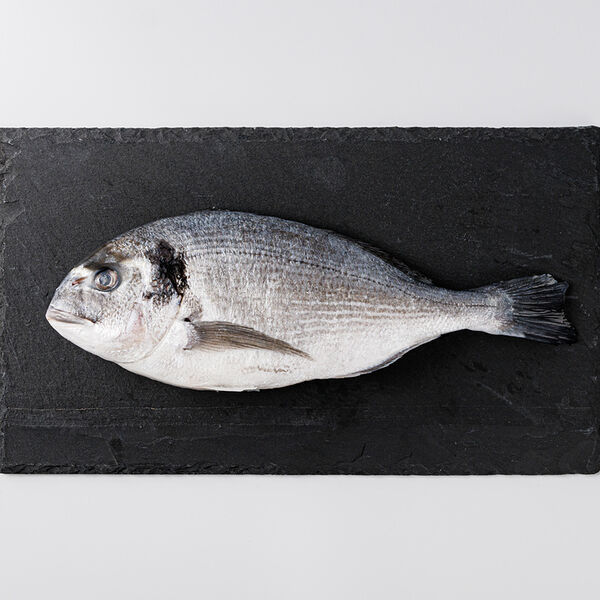 Дорадо 400/600 замороженная