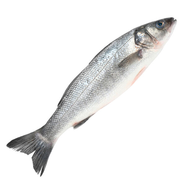 Скумбрия свежемороженая, непотрошеная, Икорный