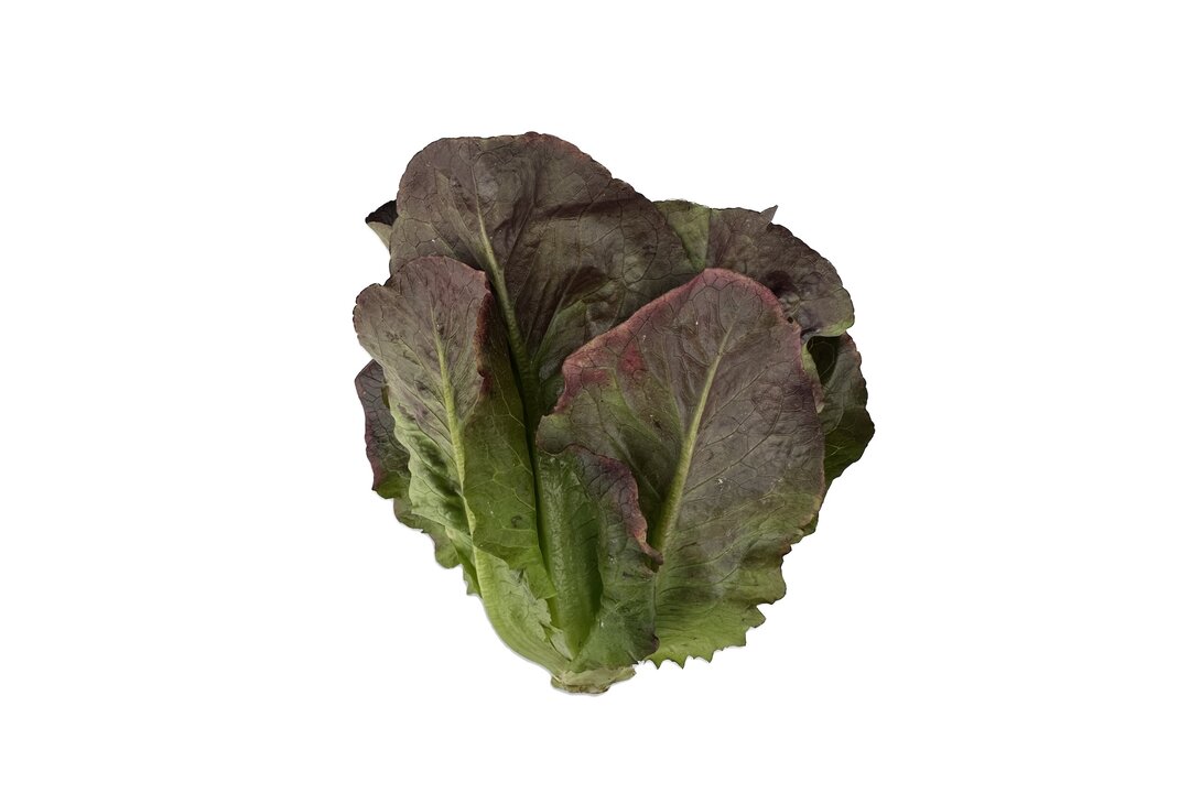 

Салат Superfood Farm Литтл Джем Красный 120 г