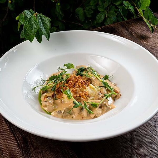 Строганов из мяса рапана с картофельным пюре