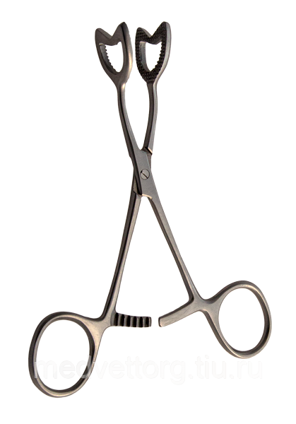 Языкодержатель