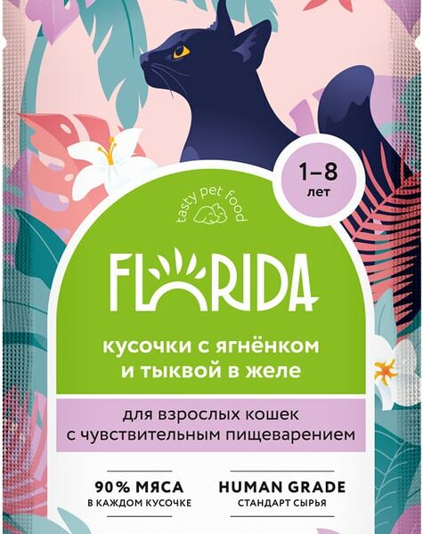 Влажный корм для кошек Florida кусочки с ягненком и тыквой в желе 85г