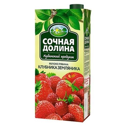 Напиток сокосодержащий Сочная долина земляника-клубника-рябина-яблоко