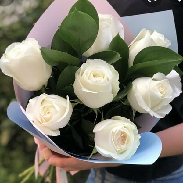 Букет из белых роз и зелени