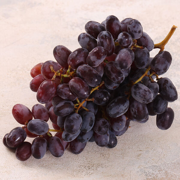 Виноград черный Кишмиш