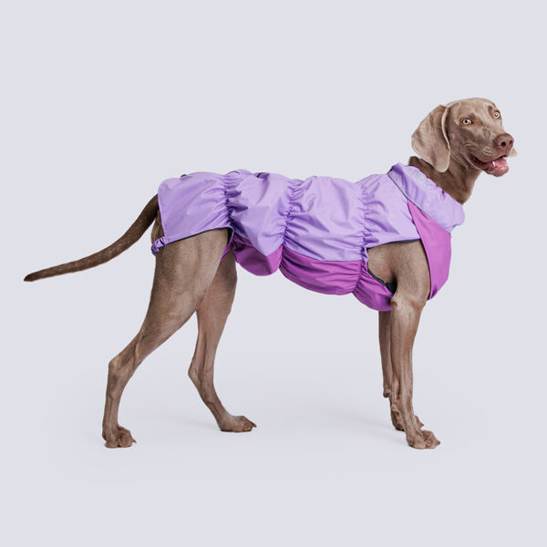 Жилетка Rungo с подкладкой, лаванда