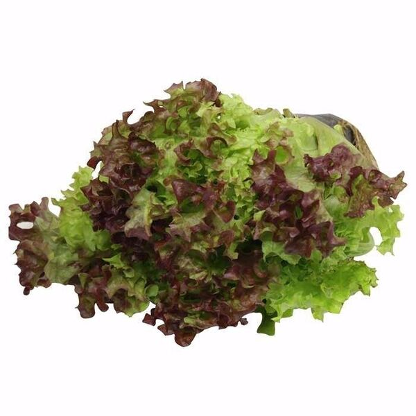 Салат Дуэт в горшке