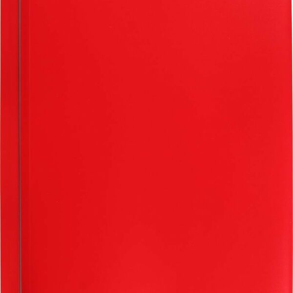 Папка с файлами А4, 20 листов ТМ Erich Krause (Эрих Краузе)