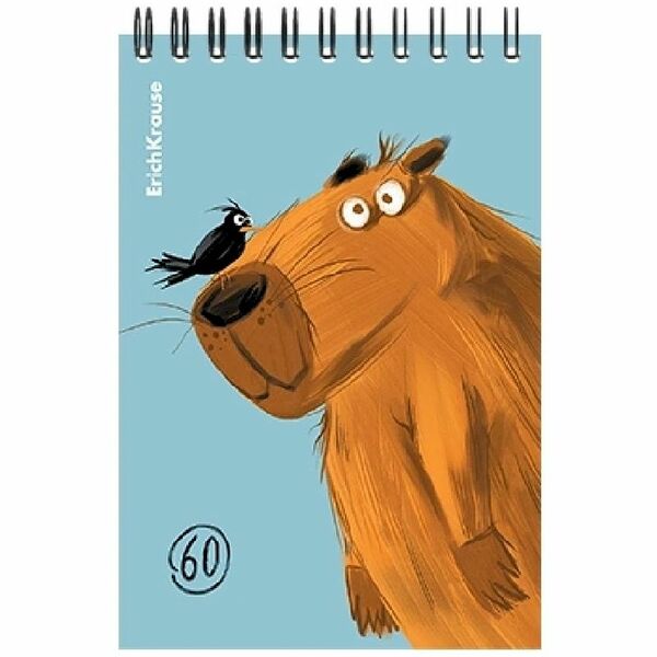 Блокнот Erichkrause на спирали клетка А6, 60л, в ассортименте