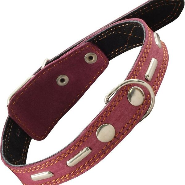 Гамма ошейник кожаный двойной с украшением 55 см.