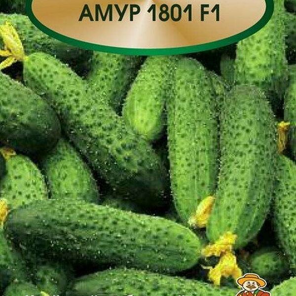 Семена Огурец Амур 10 шт ТМ Поиск