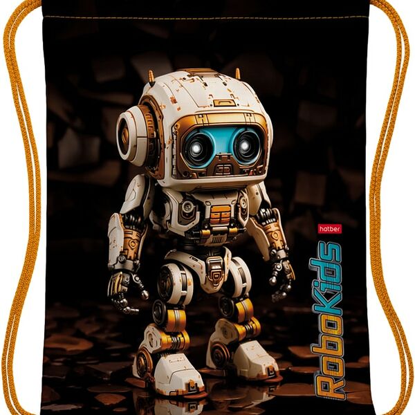 Мешок для сменной обуви Hatber Робо 33*42см