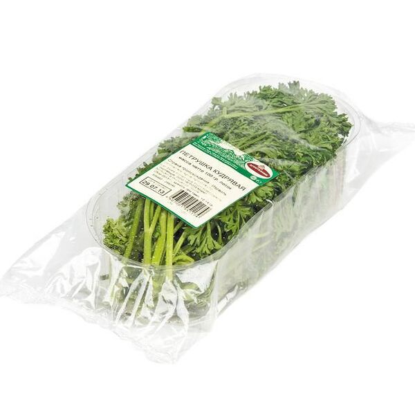 Петрушка кудрявая