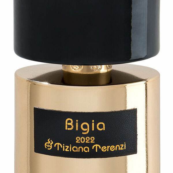 TIZIANA TERENZI Bigia 2022 Духи унисекс, 100 мл Юбилейная коллекция