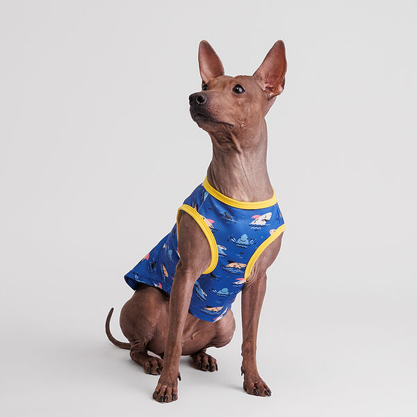 Футболка охлаждающая для собак Rurri, XL, синяя с акулами