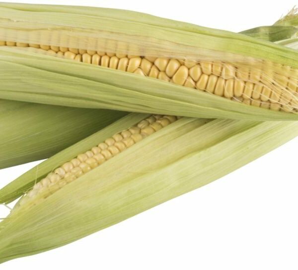 Кукуруза неочищенная