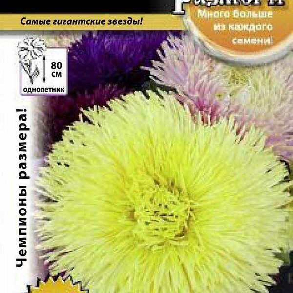 Семена астра ТМ Русский огород